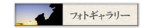 フォトギャラリー